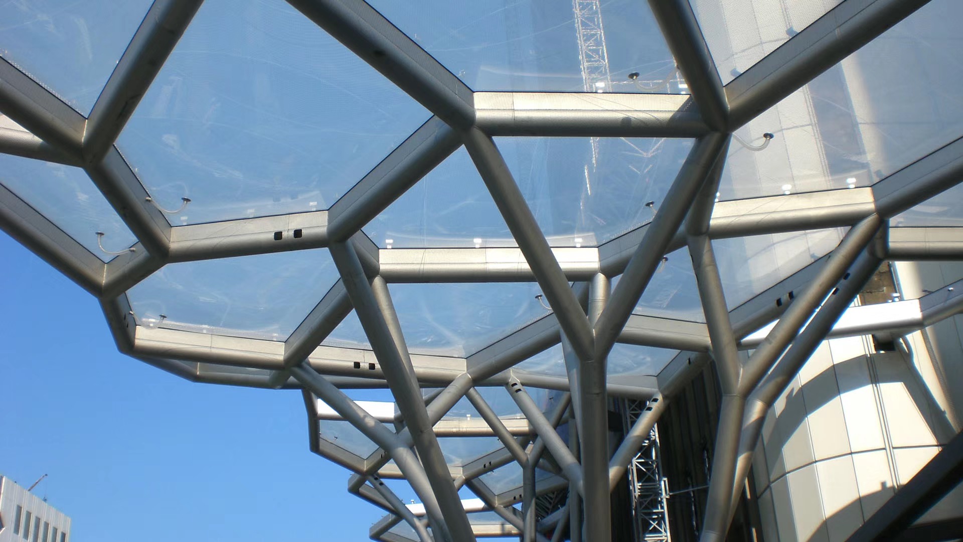 1593672519117460.jpg 1582179327875578.jpg